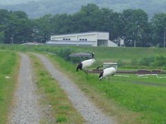 テスト（北海道2012夏）