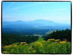 夏深まる信越国境の高原を巡る【３】～黒姫高原の大パノラマと（ひと足早い）コスモス園～