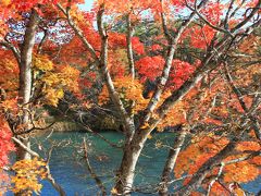 福島県復興への旅行記　？年間の記録