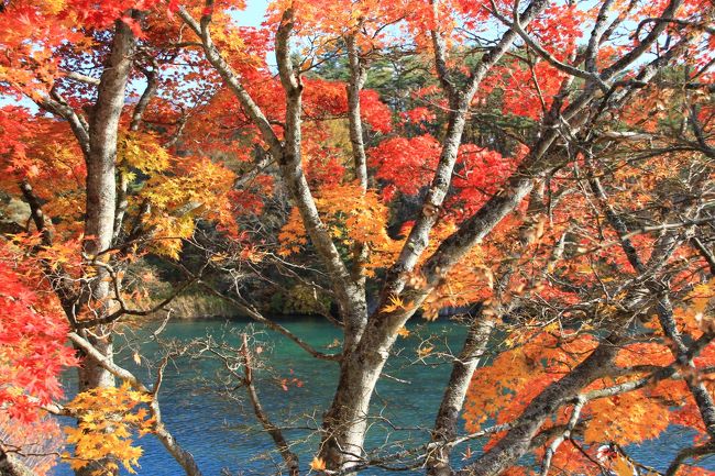 2012年4月に福島県へ転勤になりました。<br />東日本大震災、原発事故から約1年経過したばかりの、全く予想していなかった新天地。当初は戸惑いましたが、せっかくの初の東北地方、しかもなかなか行く機会のない福島県をいろいろ見て回ろうと決めました。まだ、地震の足跡や立ち入りできない場所があちこちに残っていますが、自分の赴任期間と合わせて、少しずつでも復興の足跡が見える旅行記になったらなと思います。<br />前任地の中国地方は７年間の旅行記でした。さて、今度の旅行記は足掛け何年になるでしょうか？<br /><br />※写真は訪問に合わせて随時追加していきます。