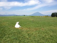 ボンビーは北をめざす！/２日目