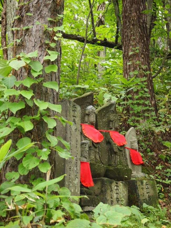 川岸　町子恒例（笑）の、一年以上前の旅行記です・・・^^;<br /><br />藻岩山は、札幌市民にとって、大変身近な山です。<br />交通の便も良く、バスでも市電でも登山口まで行けます。<br /><br />札幌中心部から、いくつかの山を眺めても、やはり藻岩山に目が行きくかなぁ。<br />それだけなじみのある山なんですね〜。<br /><br /><br />初秋の可憐なお花を眺め、<br />お地蔵様に挨拶し、<br />木々の中を歩いているだけで、<br />あぁー、来て良かった〜って思いますヽ(^o^)丿<br /><br />