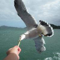 2012年9月伊勢志摩鳥羽　その１　志摩＆鳥羽　志摩マリンランド＆イルカ島＆真珠島