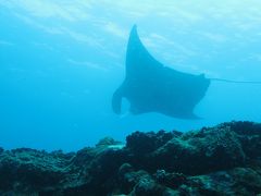 石垣島　ダイビングその３