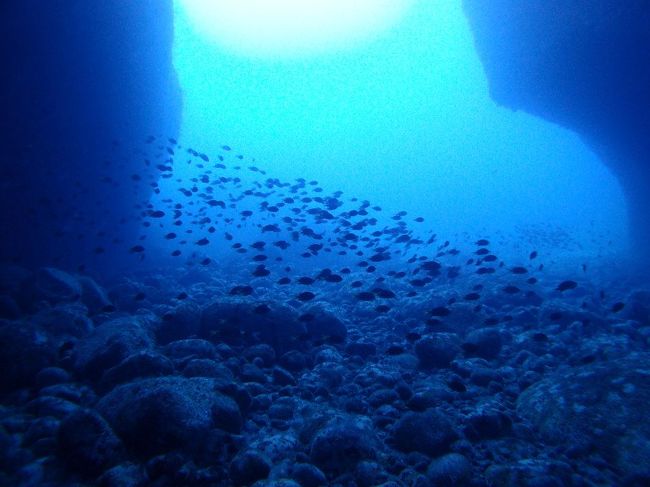 母島で２日間、６ボート潜ってきました。<br /><br />噂には聞いていましたが、母島は本当にのどかで、時間がとてもゆっくり流れます。<br /><br />母島に来ると、父島が都会に感じられるのは本当です。<br /><br />海の中も、ゆったりしていて、珊瑚がとっても綺麗でした。<br /><br />小笠原諸島に行くなら、ぜひ母島へも行ってほしいと思います♪