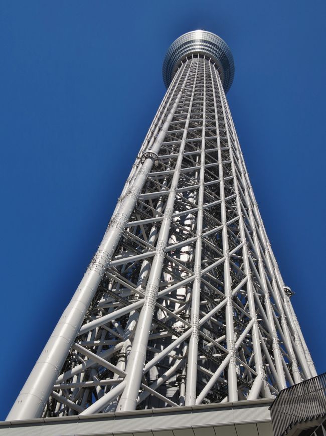 驚東京スカイツリー（Tokyo Skytree）は東京都墨田区押上にある電波塔（送信所）である。観光・商業施設やオフィスビルが併設されており、ツリーを含めた周辺施設は東京スカイツリータウンと呼ばれる。2012年に電波塔・観光施設として開業。<br /><br />2008年7月14日に着工され、3年半の期間をかけて2012年2月29日に竣工した。2012年5月22日に展望台として開業して、2012年4月から2013年3月にかけて放送局の試験放送ならびに本放送を実施する計画である。<br /><br />5月22日 開業。同時に押上駅の副駅名として「スカイツリー前」を導入。<br />7月11日 それまで予約のみ受け付けていた天望デッキの当日券販売を開始。<br />（フリー百科事典『ウィキペディア（Wikipedia）』より引用）<br /><br />東京スカイツリーについては・・<br />http://www.tokyo-skytree.jp/<br />