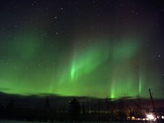 オーロラ と 犬ぞり Yukon Quest スタートを見る旅　ホワイトホース