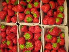 2012夏デンマーク一人旅行7