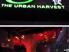 上海★オーガニックレストランで歓送会～極食g十The Urban Harvest＠喜瑪拉雅中心Zendai Himalayas Center