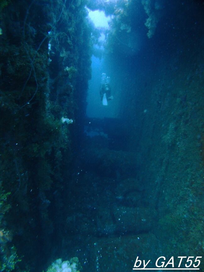 時が止まった戦場へトラック諸島でDIVE！ ～特設運送船 りおでじゃねろ丸(RIO-DE-JANEIRO MARU)～