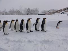 2012年2月北海道旅行③「旭山動物園号で行く冬の旭山動物園。」