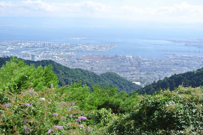 夏休み明け、最初の３連休☆☆☆　<br /><br />何処かに出掛けようか･･･　でも夏休みにいっぱいお出掛けしたから久々にゆっくり過ごそうか･･･<br />なぁんて言ってたのに、直前になると、、やっぱりせっかくの３連休なのに出掛けないのはもったいない！！ってことになり･･･(*^^*)<br />結局、前日予約にて奇跡的にとれた、いつもの有馬温泉に***<br /><br />今回は、以前チャレンジしたものの濃霧のため断念した“六甲山上でのＢＢＱ”のリベンジを無事果たしてからの有馬入りとなりました(^^/<br /><br />〜表紙の写真は六甲山上からの景色です♪<br /><br /><br />＊出発時＊しんさんー６歳８ヶ月・さきぞうー２歳４ヶ月