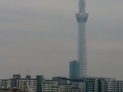 奥日光e 中禅寺湖畔～いろは坂～隅田川沿い　車窓　☆スカイツリーの夕景