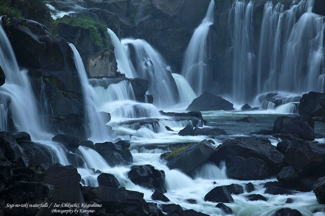 曽木の滝（そぎのたき）:<br /><br />鹿児島県伊佐市の川内川上流にある滝。<br /><br />高さ１２ｍ、滝の幅２１０ｍと非常に広く、「東洋のナイアガラ」と称されています。<br />（馬蹄型の形状をしていないので、ナイアガラには似ていませんが・・・）<br />ただ、２１０ｍという幅の広さは日本有数で、間近に見ると迫力があり、<br />平成百景にも選定されています。<br />（ちなみに第24位）<br /><br />滝といえば、私自身、日本の滝100選巡りをしておりますが、<br />この曽木の滝、充分に選ばれるべき滝にもかかわらず、<br />選定時に<br />「滝のすぐ上流に架かる橋が景観を台無しにしている」<br />との理由で選定からもれてしまいました。<br /><br />確かに訪れた際にも「あ〜、確かにそうだよな〜」と思い、<br />又、撮影の際にも「いかに滝の良さを表現するか」ということを考えます。<br />そこの橋がなんかいい絵になればとも思いますが、今日は雨。<br />特に橋が朝日に照らされることもなく、平凡な感じ。。。<br /><br />ここの岩は火山噴火に帰来するものなので色が黒いんです。<br />なので雨の日を狙ってきました。<br />雨に濡れるとしっとりと黒い岩になり、<br />水の白さと対比が綺麗に出来るから。。。<br />え？雨の日を狙ったんですよ。<br />雨が降って悲しいからの悔し紛れの言葉じゃないんです。<br />公園も雨の日の方が空いてていいんです。<br />悔しくないんです。<br />雨の方が水量が増えていいんです。<br />だから悔しくないんですってば。<br /><br />さて、前述の橋のことですが調べると<br />もともと鶴田ダムの工事用道路として国が<br />1962年（昭和37年）に建設したもので <br />その後、県に移管されて県道として利用されてきたそう。。<br />しかし滝100選にもれたことで当時の大口市が県に対し、<br />移設を強く求めました。<br />そしてその代わりの橋が2011年に長い工期を終えて開通しました。<br />その結果、景観を破壊していたとされる橋は解体されるそうです。。。<br /><br />か、解体？？<br />俺、橋と滝の一緒の写真、撮ってないじゃん！<br />は、はやく行かなきゃ〜〜〜！！<br /><br />いつも踊らされている私です。<br />