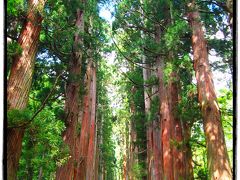 夏深まる信越国境の高原を巡る【５】～戸隠古道を歩き、戸隠神社五社を巡る①（宝光社・奥社・九頭龍社編）～