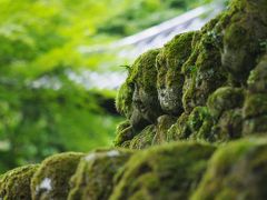 羅漢さんに逢いたくて愛宕念仏寺へ