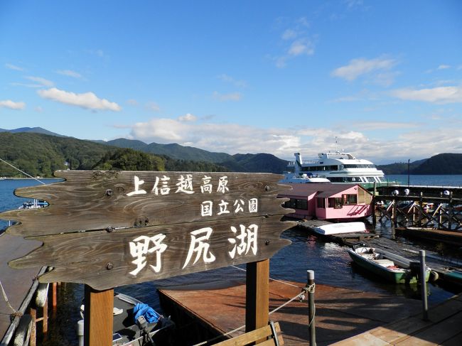 先ずは、を過ぎると野尻湖が出迎える！<br />新潟と長野の県境野尻湖は、長野県上水内郡信濃町にある湖で有る。<br />芙蓉湖とも呼ばれていて、ナウマンゾウ化石が出土する湖としても知られているのは御承知の通りである。<br />今でも発掘調査が行われていて、湖沼水質保全特別措置法指定湖沼で有る。<br />天然湖で、妙高高原、黒姫高原とともに上信越高原国立公園に指定されている綺麗な湖で有る。<br /><br />