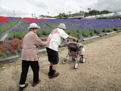 世羅のお花畑（認知症の両親も喜んでくれた）えかったえかった