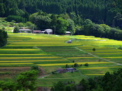 日本の原風景を求めて～京都越畑・樒原の棚田へ　Part２