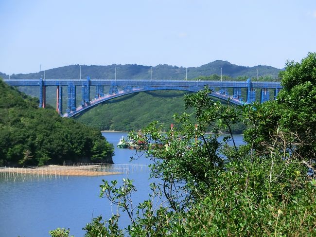 以前行ったことのある、「紫光」という旅館が「大江戸温泉物語伊勢志摩」という温泉好きの夫婦にとって、興味をひく名前の旅館になっています。<br />お風呂だけでも入れると聞いて、訪れたのですが‥立ち寄り湯だけでは入れなくて‥夕食付であればＯＫ。<br />「うーーーん」　まだ今日の夕食の予定はきめていません。夕食もここで「決めちゃおうか。」<br />でも‥‥気になるのが夕食、バイキングなんです。<br />「まっ、いっか」ということで、決まり。<br />夕食は５時からということで、その前にお風呂に‥行かせていただきます。<br />やっぱりね、バイキングは‥何がなんだか。流れにそって押されながらチョイスして‥‥大変なことになってしまいました　＾＾；<br /><br />まあ‥お風呂でゆっくり出来たから‥いいことにしましょう<br /><br />朝、起きて‥「まあ　！！」<br />まん前で、魚釣りをしている人が‥魚釣り用の筏が目の前に‥<br />しゅんはが楽しみにしている露天風呂、入れないじゃないですかっ<br /><br />反対に工事中の的矢大橋は、すっかり大きくなった樫の木で見えなくなっています。<br />ダンナ様にお願いして‥‥急遽植木屋さんに変身<br />腕に擦り傷をいっぱい作りながらゴシゴシ頑張ってくださいました　m(_　_)mｶﾝｼｬ<br />おかげで、全景が見えるようになりした。　