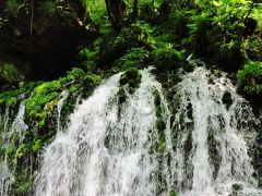 鳥海山 a   元滝伏流水、日量5万トンの湧出　☆低温で清涼感は抜群