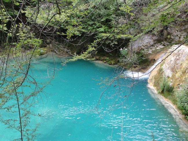 今年の春ナバーラ地方を旅した時に入手した一冊のガイドブック。その本で見つけた一枚の写真に目が釘付けになった。<br />木漏れ日を受けてキラキラと輝く木々の緑葉、ターコイズブルーの透明な泉に、白い水流が小さな滝のように流れ込んでいました。<br /><br />それは、バスク地方に住む友人達も知らなかったという、NACEDERO DEL UREDERRA、あるいはNACIMIENTO DEL RIO UREDERRAと呼ばれるウレデラ川の水源。<br /><br />ウルバサ・アンディーア自然公園に広がるウルバサのカルスト台地は、大規模な地殻変動によって形成されたといわれ、その鋭く垂直に切り開かれた壁面から流れ出るウレデラ川の水源地帯は、ナバーラ地方の自然保護区に指定されています。<br /><br />水源へと続く道は車の乗り入れを禁止しているので、指定の駐車場に車を止め、徒歩で向かいます。案内も出ているし、ある程度整備された山道です。想像していたより人も多かった。<br /><br />今回の旅で一番楽しみにしていた場所。ナバーラ地方の豊かな自然に出会える、とっておきのスポットです。<br /><br /><br />http://nacederourederra.com/