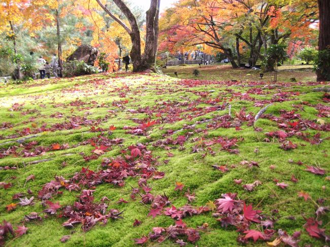 娘の受験合格をお願いするため、鈴虫寺（妙徳山 華厳寺）に行ってきました。<br />この時期京都は紅葉が大変美しく、私の知る限りでは、世界一です！！<br /><br />少し前の旅行記を書いているため、嵐山でのお庭を忘れてしまいました。<br />写真だけですが、ご覧下さい。<br /><br />