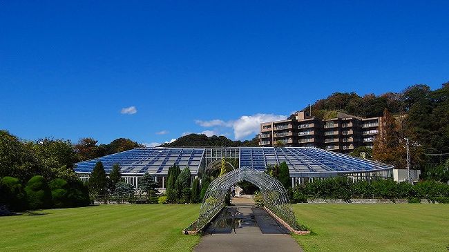 神奈川県立フラワーセンター大船植物園 温室と展示場の花達 鎌倉 神奈川県 の旅行記 ブログ By Hn11さん フォートラベル 神奈川県立フラワーセンター大船植物園 温室と展示場の花達 鎌倉 神奈川県 の旅行記 ブログ By Hn11さん フォートラベル