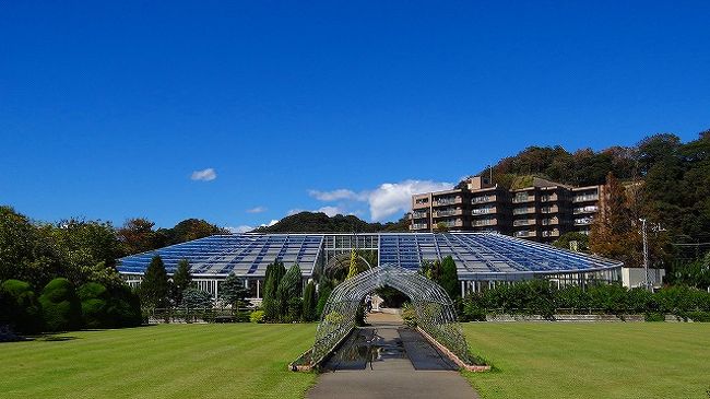 神奈川県立フラワーセンター大船植物園 温室と展示場の花達 鎌倉 神奈川県 の旅行記 ブログ By Hn11さん フォートラベル