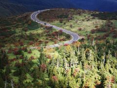 紅葉の「草津白根山」