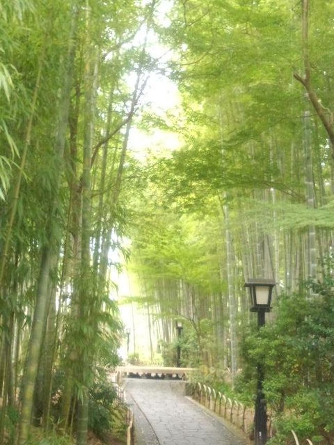 恒例の旦那さんの会社のスポーツ大会で<br />静岡県に行ってきました。<br /><br />サムイ島から帰ってきたらすぐだし、<br />(2012年9月14日~19日まで)<br />http://4travel.jp/traveler/rascalpossam/album/10699030/<br /><br />日帰りでいいんじゃない?と話していたら<br />「温泉に入りた~い!」と旦那さん。<br /><br />それじゃあ行っちゃいましょう!修善寺温泉へ~♪<br /><br />サムイ島に出発する前に宿を予約☆<br /><br />修善寺温泉 『湯回廊 菊屋』さんに決定!<br /> <br />部屋付き露天風呂があってお食事が食事処でいただけるという<br />条件に合ったのがこちらでした。<br />私の母が若かりし頃、こちらの夏目漱石が宿泊したという<br />お部屋に泊まったことがあると話していたのを思い出し<br />前から興味もありました。<br /><br />それに、以前泊まった草津の『季の庭』さん等と同じグループのお宿。<br />それなら間違いないでしょう?とあんまり下調べせず出~発~!<br />(その頃はサムイ島の事で頭いっぱいだったので 笑)<br /><br />結果、こちらのお宿にして大正解でした!<br /><br />