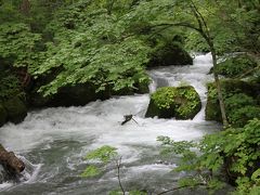 両親と行く東北♪奥入瀬渓流ランブリング～