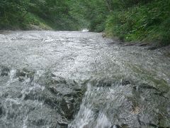 カムイワッカ湯の滝への道は砂利道。エゾシカをよけながら走る。