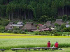 蕎麦の花咲く美山かやぶきの里