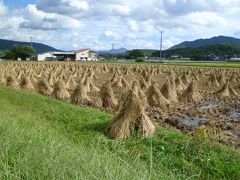 秋の風情　(岩手の農村にて)