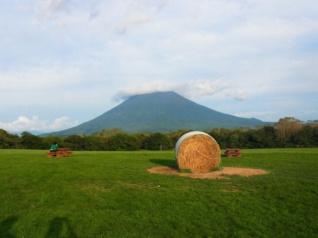 （【1】から【3】まで旅行記があります）<br />初めての北海道！　夏休み休暇の1日をあてて、週末を満喫しました。<br />北海道出身の友人の帰省にくっついていったので、飛行機の手配から車の運転から、随分お膳立てしてもらいました。。<br />今年は稀にみる暑さだったらしく、むしろ関東よりも暑いのではないかと思ったくらい。半袖で十分過ごせてしまったけど、多分これはフツウじゃないでしょう。<br /><br />20日（木）退社後、羽田へダッシュ。最終便（だったかな）で一路、千歳へ。なんとかその日中に札幌の隣の駅のエコノミーな宿に到着。<br />21日（金）朝、友人と待ち合わせて小樽、積丹方面へ。美しい海！ ぷりぷりのお寿司！<br />余市のニッカウヰスキー蒸留所、ニセコの牧場でアイスを楽しんだりした後、すばらしいお湯の温泉宿でまったり。<br />22日（土）札幌へ戻り、キタラ（ホール）で知り合い出演の演奏会。その後北海道大学を散策、夜は演奏会打ち上げに参加させてもらいました。去るのを惜しみつつも最終便で東京へ。