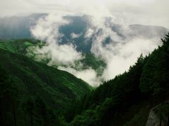 初夏　雨の天竜ｽｰﾊﾟｰ林道　散策