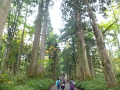 戸隠神社五社参拝と燕温泉の旅