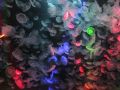 日帰りクラゲ水族館