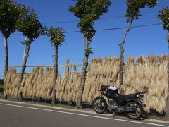 はさ木のある風景