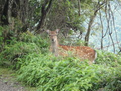 '12夏の剣山～「お花さんたち・・待っててくれてありがとね！」