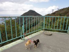 犬と一緒に筑波山へ