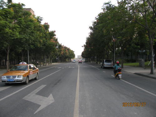 上海の科苑路・プラタナス並木路