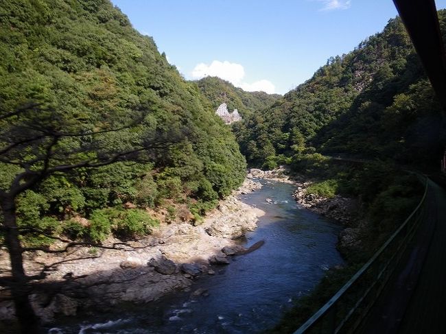 所属する学会の研究発表大会で今年も京都へ。秋の三連休ということで、最後の1日、今回は嵯峨野方面へ行ってみることにしました。<br />しかし、そうは言っても一人旅。さらに、トロッコ列車や保津川下りは超混雑が予想され、しかも乗り場までのアクセスが結構めんどくさい。というわけで、今回、定期観光バスに乗ってみることにしました。<br />予約はインターネットで簡単。<br />さてさて、どうなることやら。お楽しみに。<br /><br />《旅行行程》（最終日のみ）<br />京都駅烏丸口→（観光バス）→トロッコ嵯峨駅→（トロッコ列車）トロッコ亀岡駅→（バス）→保津川下り乗り場→（船）→嵐山下船場→（嵐山散策）［天龍寺・竹林の道・野宮神社・落柿舎・清涼寺・嵯峨豆腐森嘉など］→（観光バス）→京都駅<br />