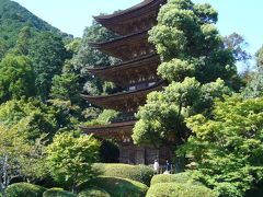 残暑を吹き飛ばせ！秋風感じる山口県ドライブの旅（その３）～錦帯橋・山口など～