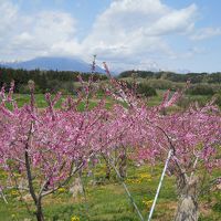 北信州花めぐり