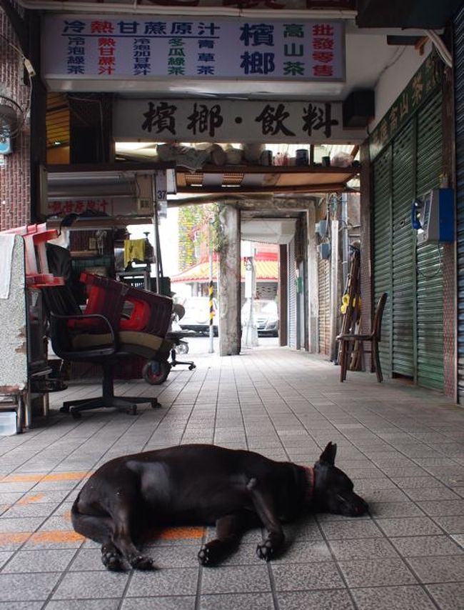 大好き台湾♪ 今年３回めの台北③　孔子廟で体操・大龍街と淡水朝市で朝ご飯食べて帰国篇