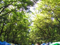 下鴨神社　森の手作り市