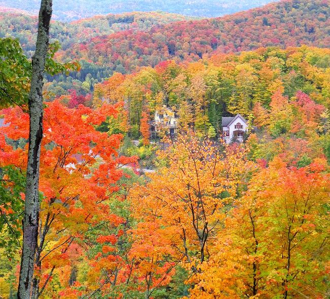 カナダ紅葉ドライブ旅行記ー ２ 紅葉真っ盛りのモン トランブラン周遊 モン トランブラン カナダ の旅行記 ブログ By Miharashiさん フォートラベル