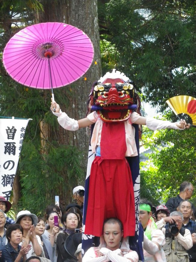 奈良県無形文化財に指定されている曽爾（そに）の獅子舞をたっぷり見てきました。<br /><br />10月7日、村の中央、曽爾村役場のそばにある、門僕（かどふさ）神社で行われる曽根村8大字の氏神の秋祭り。<br /><br />朝8時頃から12時頃まで行われました、曽爾村の長野地区、今井地区、伊賀見地区の奉舞会の獅子が神社に集合して、神前の舞、悪魔払い、獅子踊り等を披露します、最後に伊賀見の接ぎ獅子が披露される。<br /><br />当日は考古学者の吉村作治先生がいらしてました、又、奈良交通のバスツアーの人達も来てました。<br /><br />10月28日（日）午後1時よりMBS毎日放送の日本の祭りで「曽爾の秋祭り」として放送される。